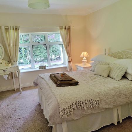 Rooms At Ballysax House The Curragh Esterno foto
